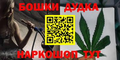 шишки Кандалакша