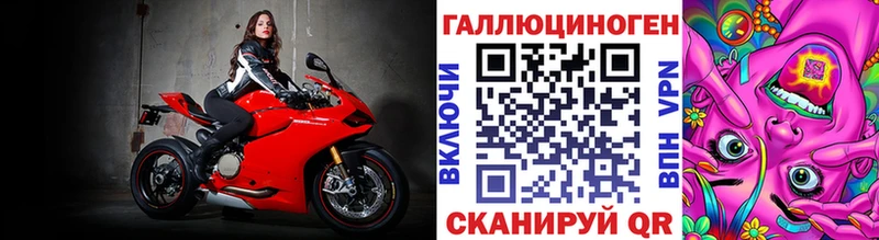 Псилоцибиновые грибы прущие грибы  Сочи 