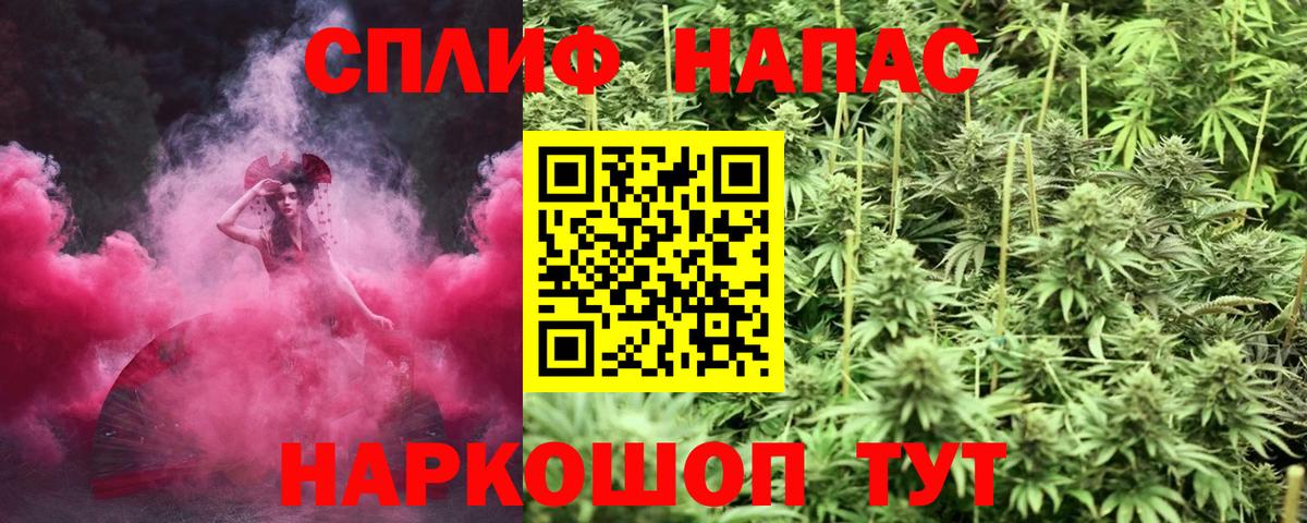 Каннабис конопля Сочи
